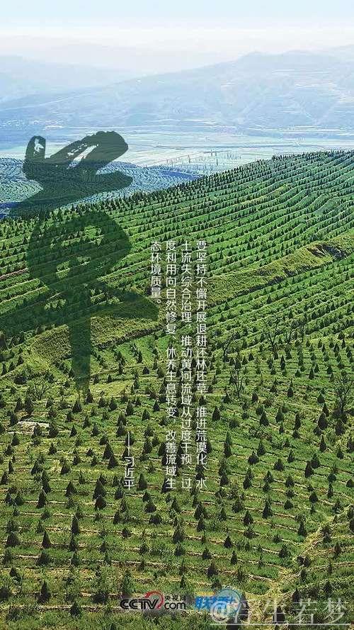 习近平:凝聚力量共创美丽中国 让大地更显绿色生机 习近平:凝聚力量共创美丽中国 让大地更显绿色生机