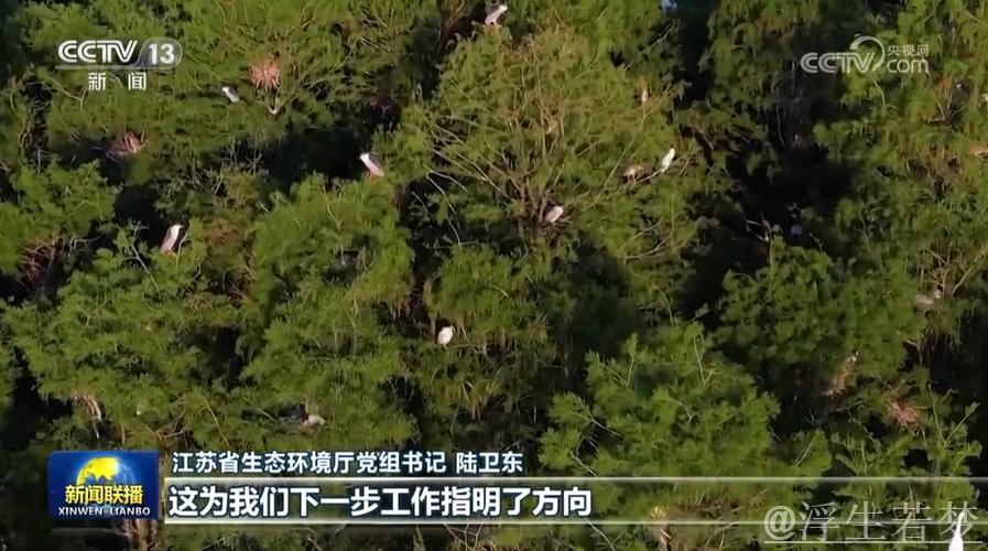 习近平:凝聚力量共创美丽中国 让大地更显绿色生机 习近平:凝聚力量共创美丽中国 让大地更显绿色生机